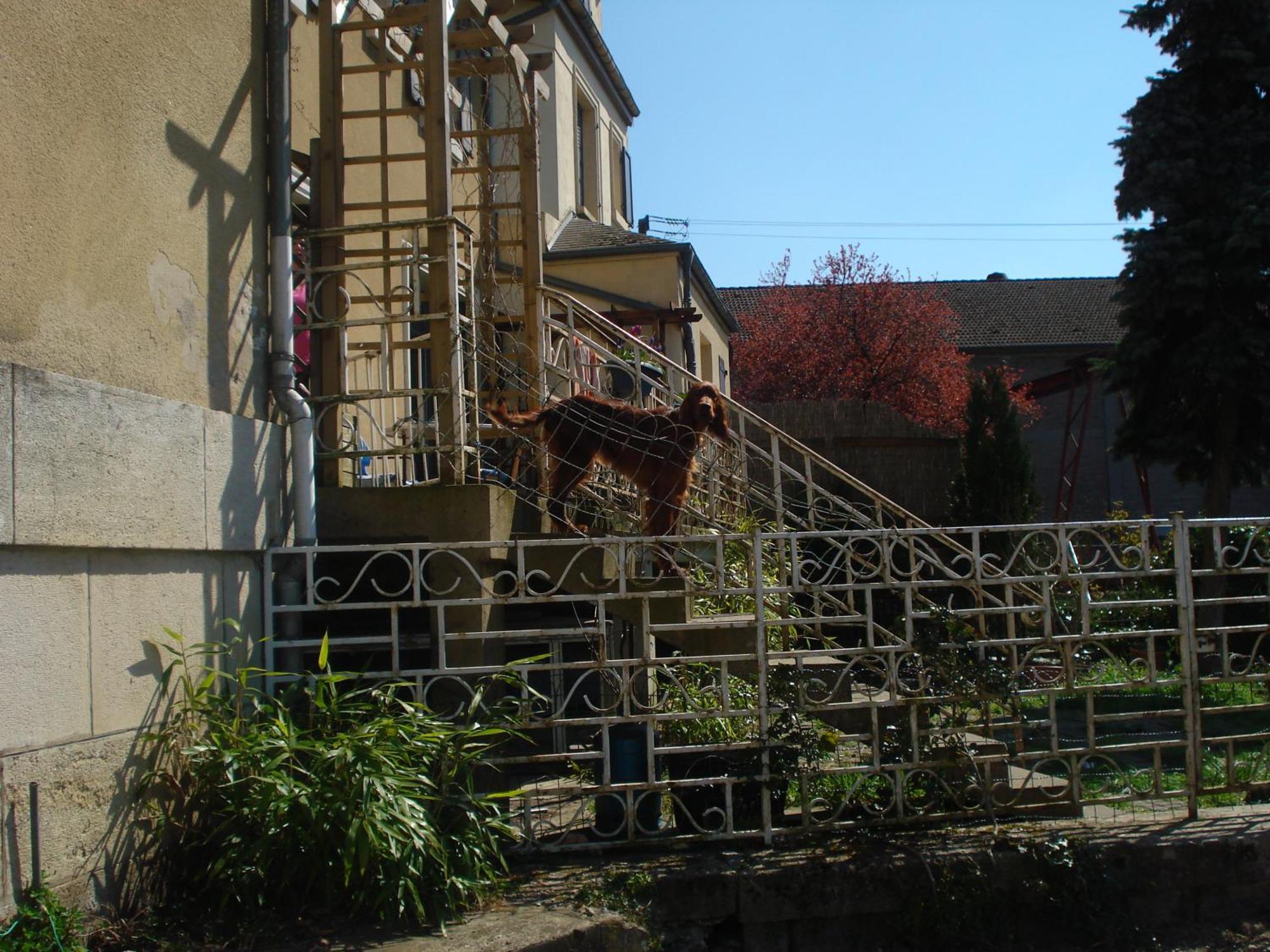 Chambres D'Hotes Notre Paradis Dun-sur-Meuse Exterior foto